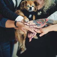 Lola, Our Silly Mascot