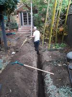 Professional Bamboo Services