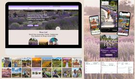 Sonoma County Marketing + Bees N Blooms Digital Marketing and Website