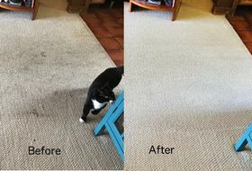 Before and After Carpet Cleaning