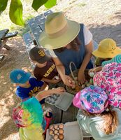 We offer two Summer Camp programs: Circus Camp & Farm Camp