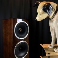 New Classics. Fyne Audio at Lavish