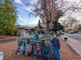Petaluma City Hall Workday