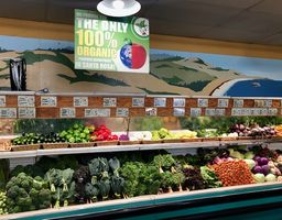 More of our Santa Rosa produce.