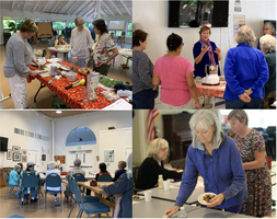 Senior Activities Program