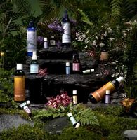 Elizabeth Van Buren Essential Oils