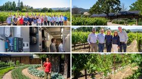 Sonoma County Marketing Brand, Tour, and Headshot Photography for Local Sustainable Businesses