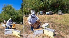 Sonoma County Marketing Brand Photography for Farms, Agricultural Businesses, and Beekeepers